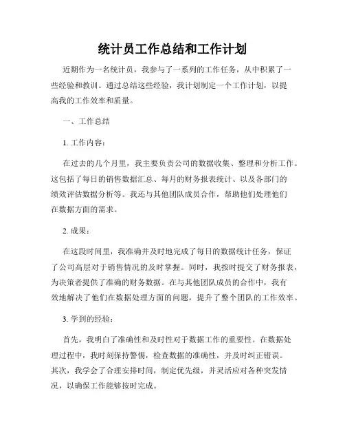 统计员工作总结和工作计划