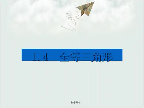 浙教版八年级数学上册课件：1.4  全等三角形 (共10张PPT)