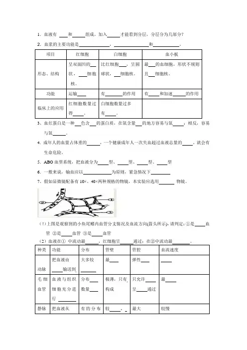 血液循环知识点