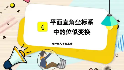 平面直角坐标系中的位似变换课件