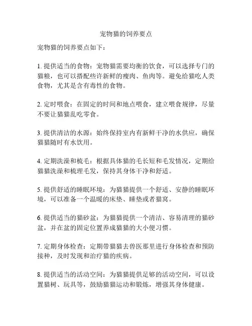 宠物猫的饲养要点