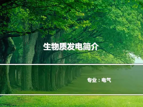 生物质发电资料
