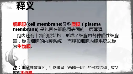 医学细胞生物学课件第四章    细胞膜_PPT幻灯片