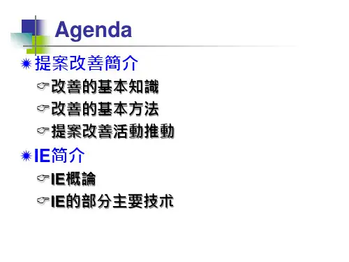 改善与IE简介课件