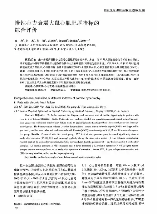 慢性心力衰竭大鼠心肌肥厚指标的综合评价