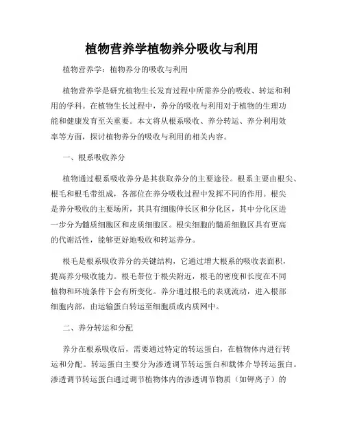 植物营养学植物养分吸收与利用