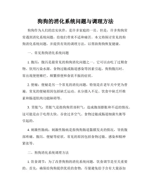 狗狗的消化系统问题与调理方法