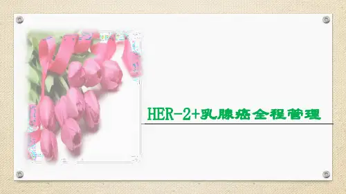 HER-2阳性乳腺癌全程管理