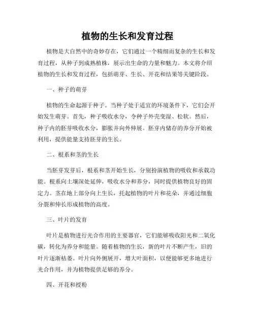 植物的生长和发育过程