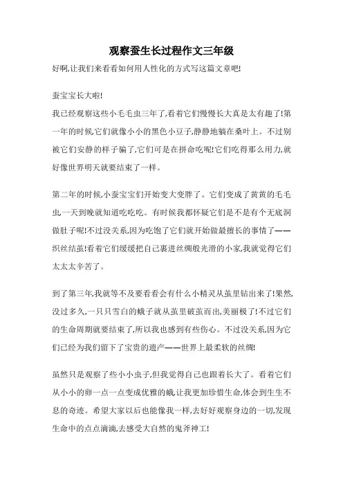 观察蚕生长过程作文三年级