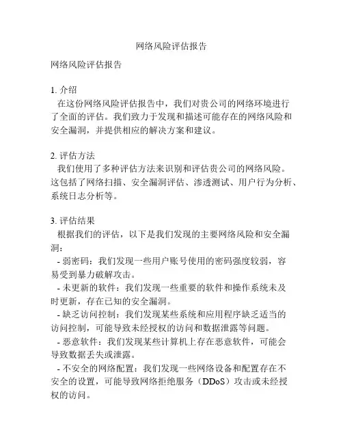 网络风险评估报告
