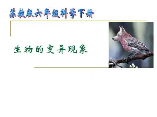 【苏教版】六年级 科学下册 第二单元 第二节 生物的变异现象