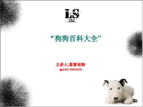 狗狗百科大全