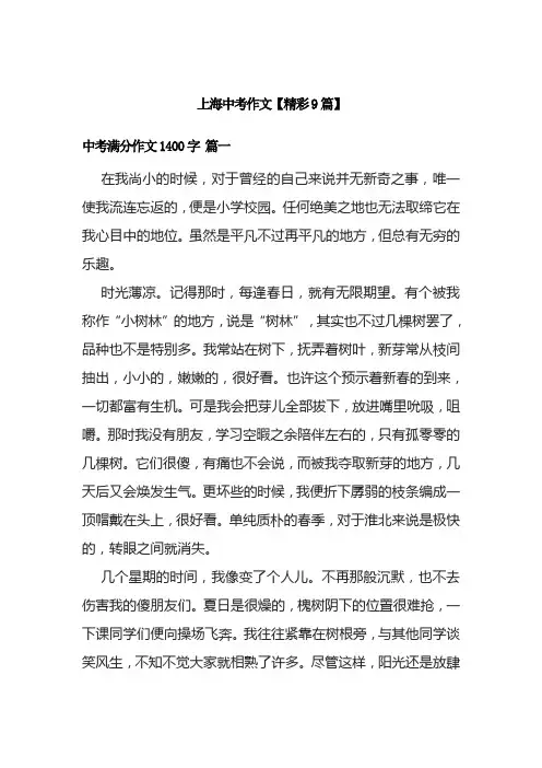 上海中考作文【精彩9篇】