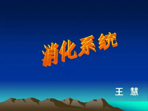 《人体解剖学》课件消化系统