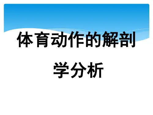 体育动作解剖学分析