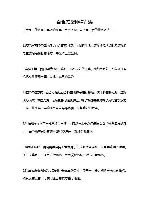 百合怎么种植方法