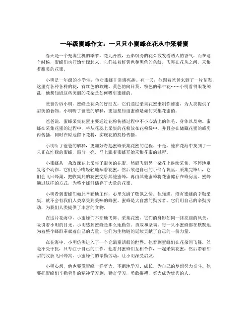 一年级蜜蜂作文：一只只小蜜蜂在花丛中采着蜜