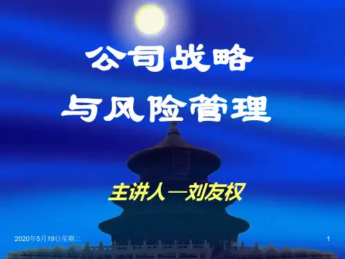 《公司战略与风险管理》课件