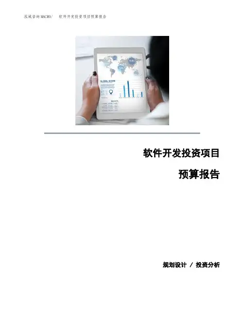 软件开发投资项目预算报告