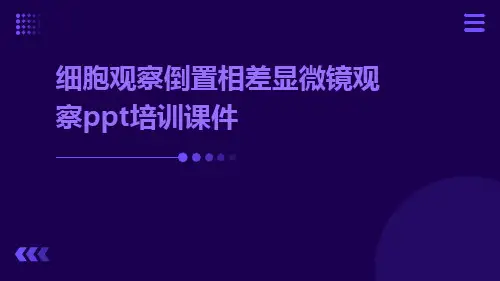 细胞观察倒置相差显微镜观察ppt培训课件