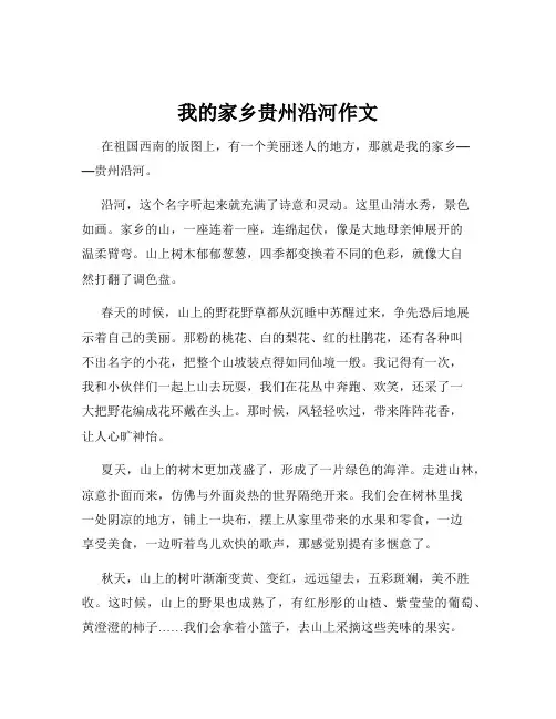 我的家乡贵州沿河作文