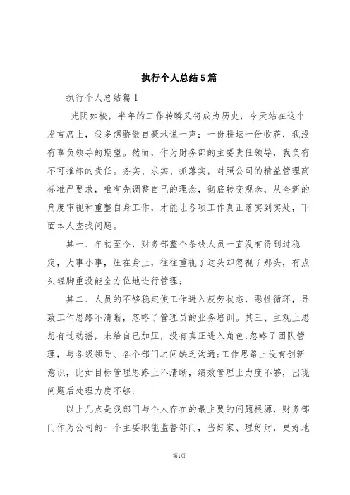 执行个人总结5篇