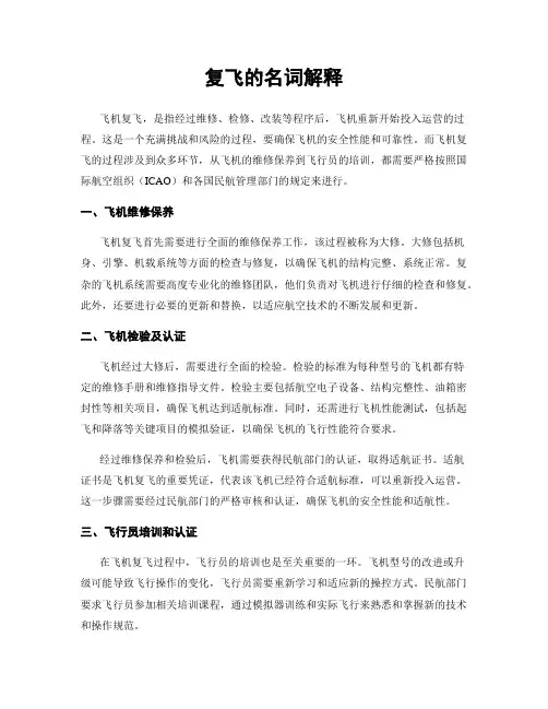 复飞的名词解释