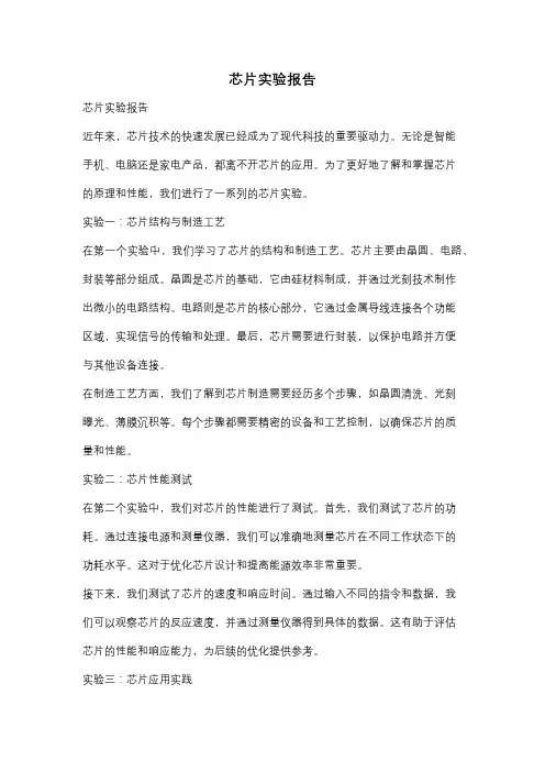芯片实验报告