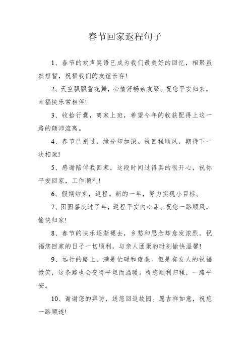 春节回家返程句子