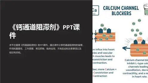《钙通道阻滞剂》课件