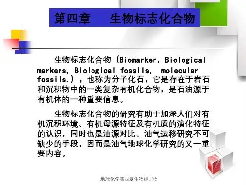 地球化学第四章生物标志物