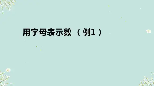 人教版 五年级上册数学用字母表示数(例1)(课件)