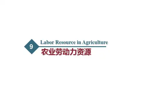 9.农业劳动力资源