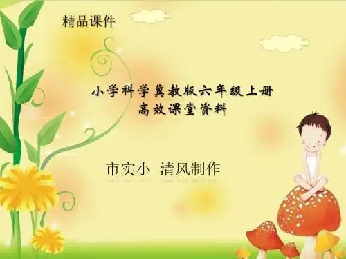 小学科学冀教版六年级上册高效课堂资料《种类繁多的动物》课件——第1课时