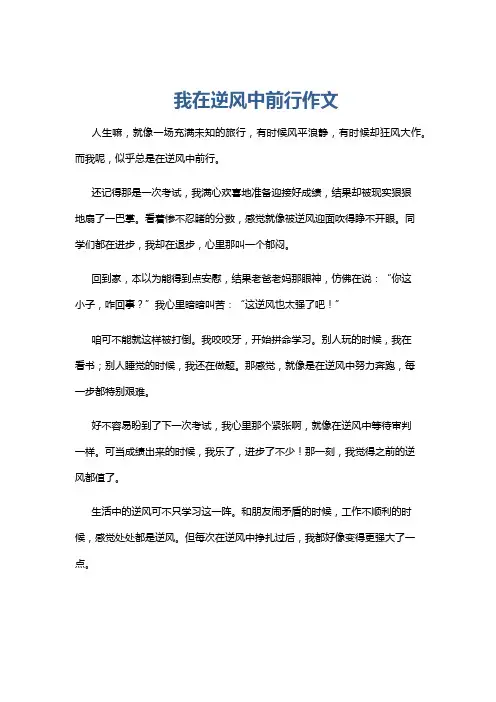 我在逆风中前行作文