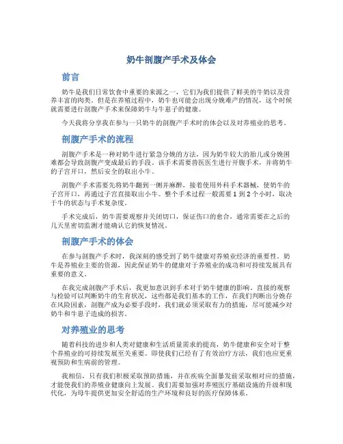 奶牛剖腹产手术及体会