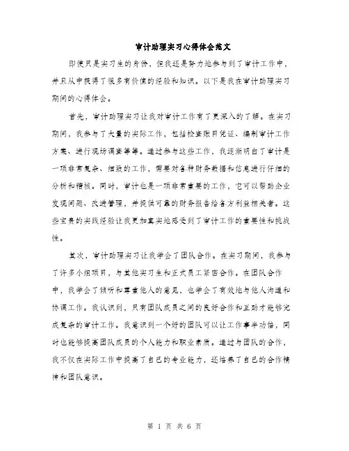 审计助理实习心得体会范文