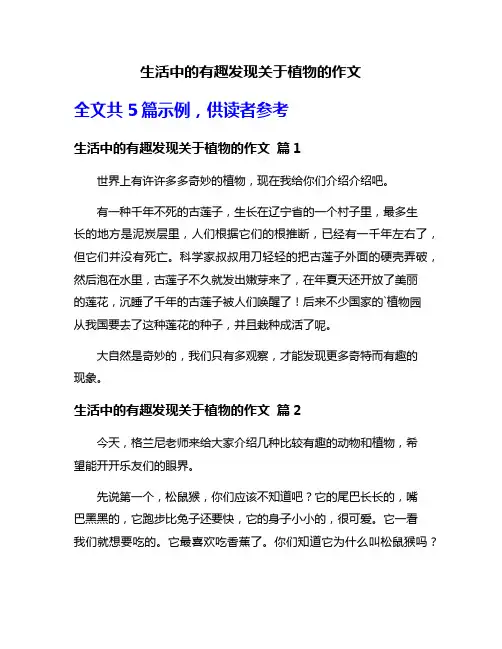 生活中的有趣发现关于植物的作文
