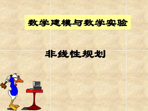 非线性规划求解