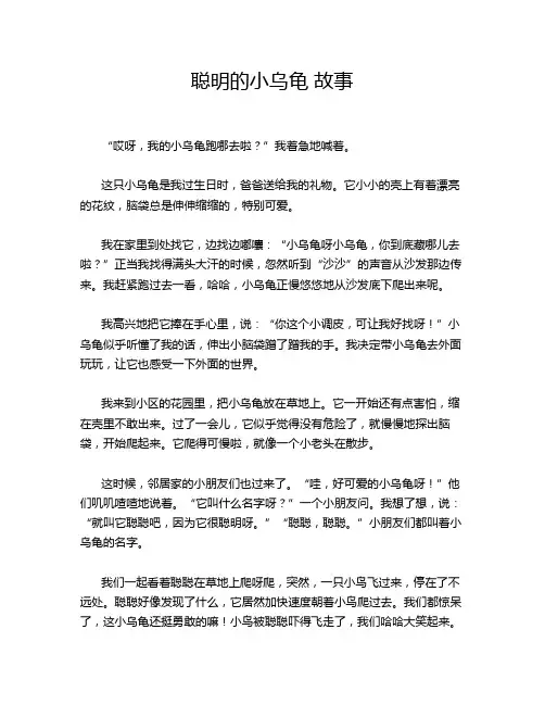 聪明的小乌龟 故事