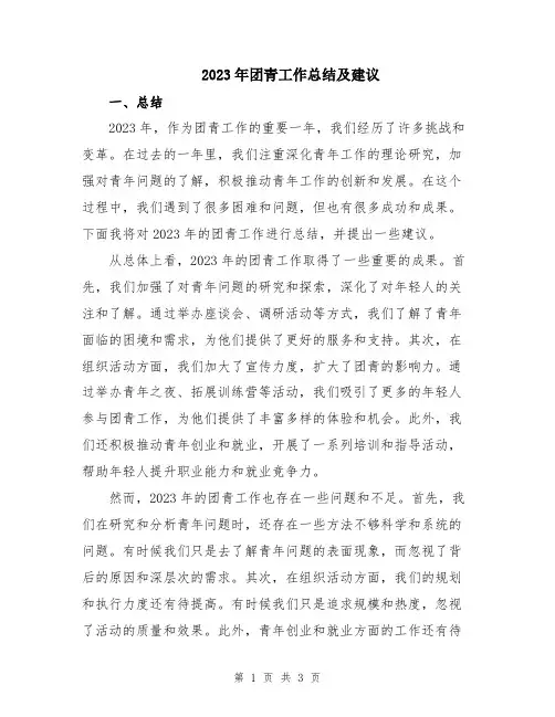 2023年团青工作总结及建议