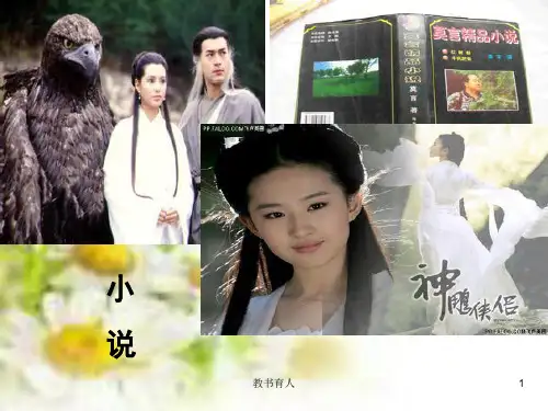 小说基础知识PPT(教育知识)