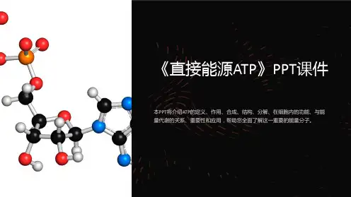 《直接能源ATP》课件