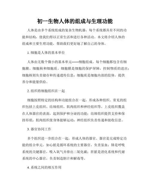 初一生物人体的组成与生理功能