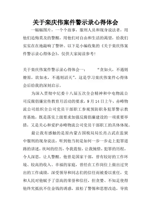 关于栾庆伟案件警示录心得体会