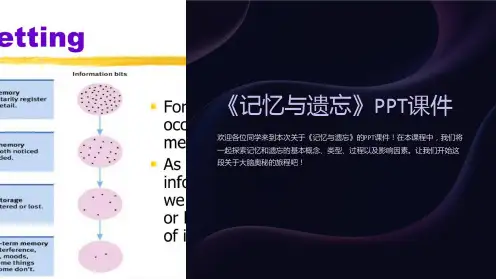 《记忆与遗忘》课件