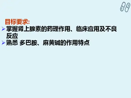 作用于传出神经系统药物—拟肾上腺素药(药理学)