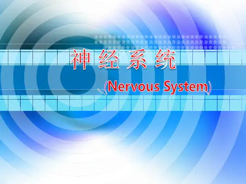 神经系统核医学教学课件