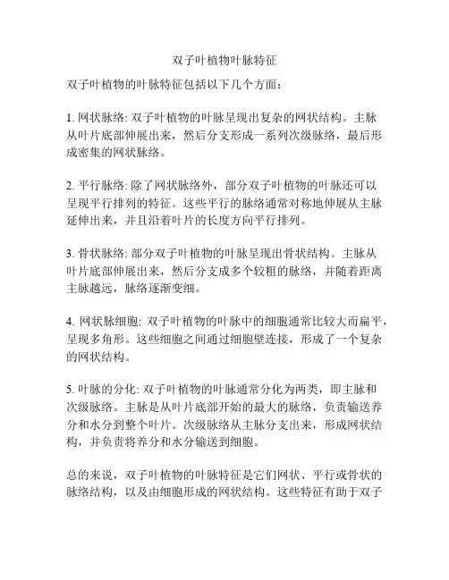 双子叶植物叶脉特征